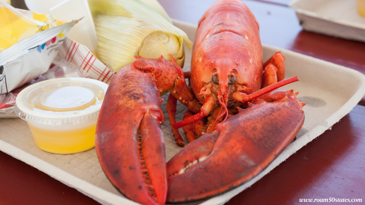 Maine Lobster Festival 2025 in Rockland: Dates, Tips & What to Expect