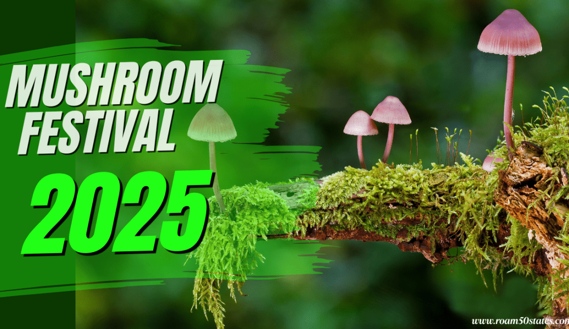 mushroom festival