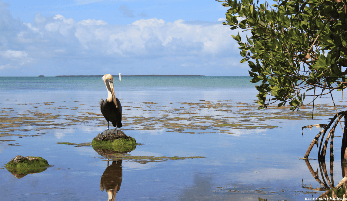 Best National Parks to Visit in the US