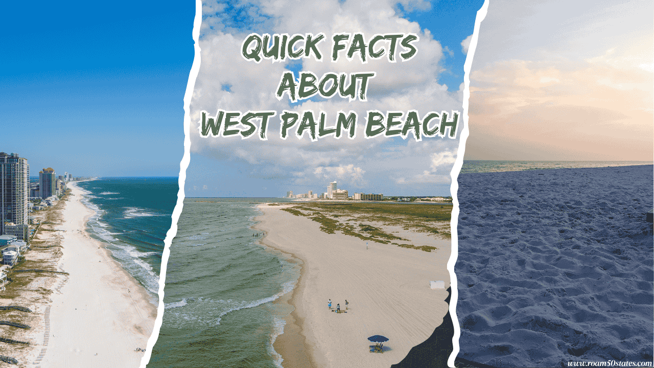 best things to do in orange beach