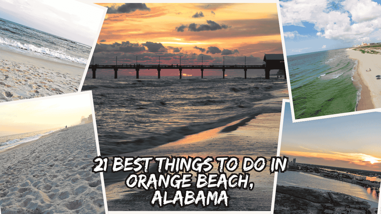 best things to do in orange beach
