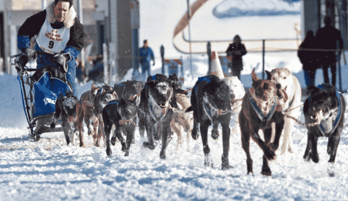Anchorage Fur Rendezvous
