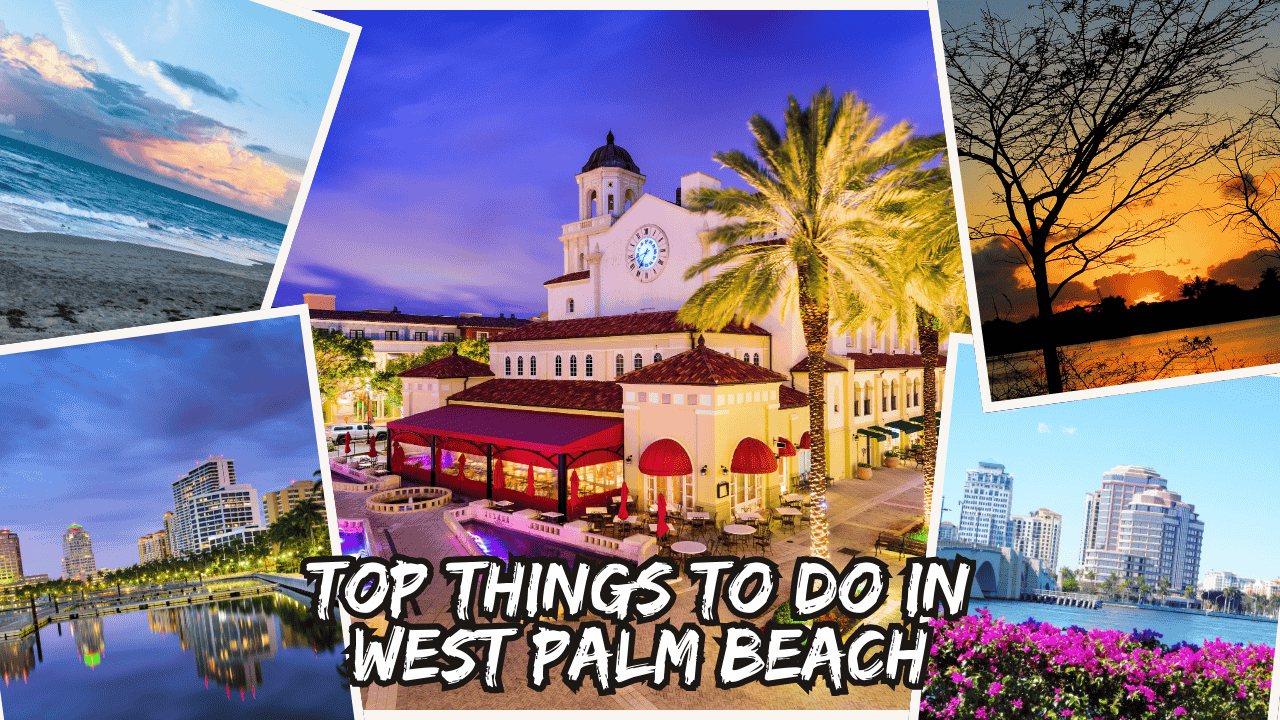 things to do in west palm beach