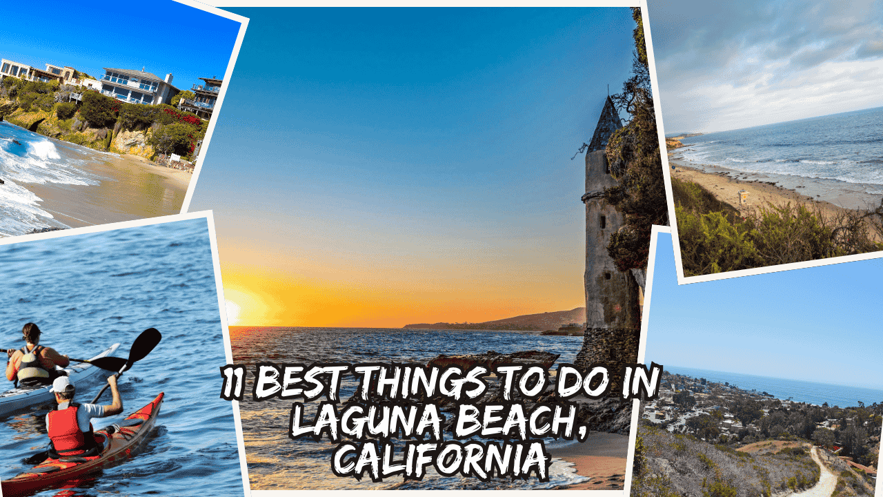 amazing things to do in laguna beach
