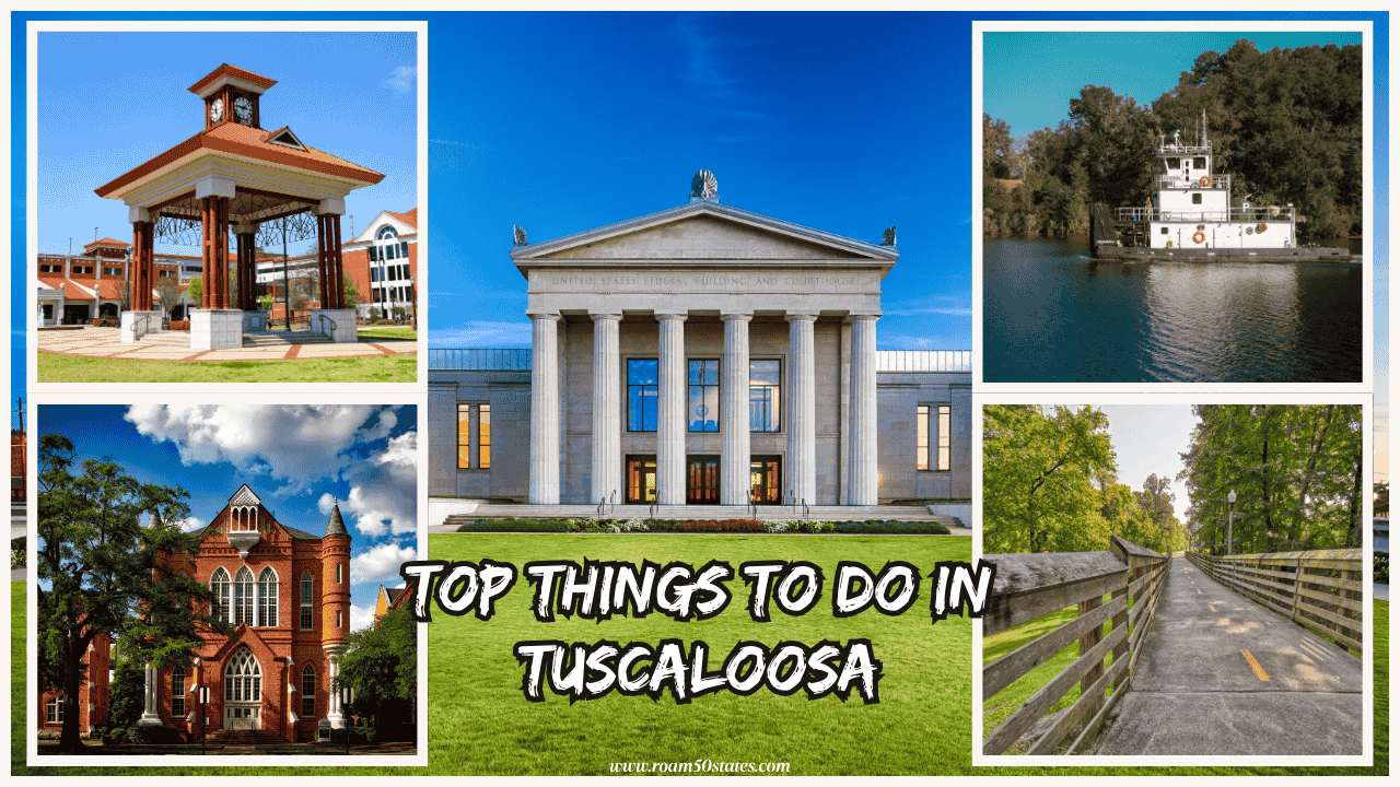 things to do in tuscaloosa