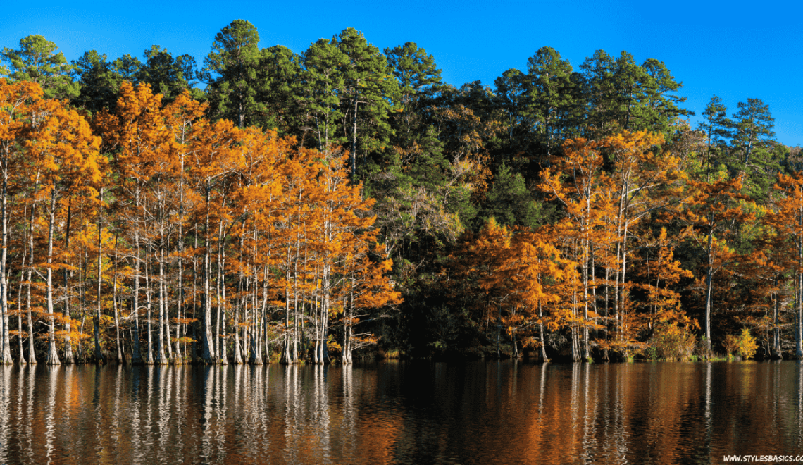 things to do in broken bow