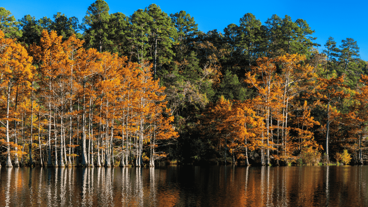things to do in broken bow
