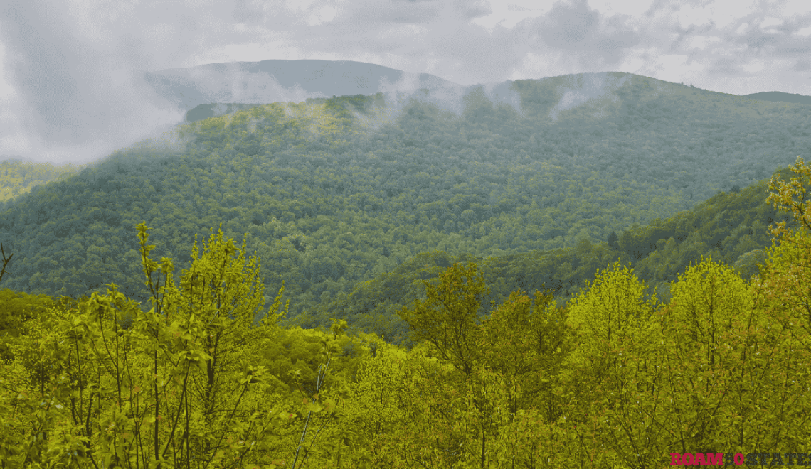 things to do in charlottesville