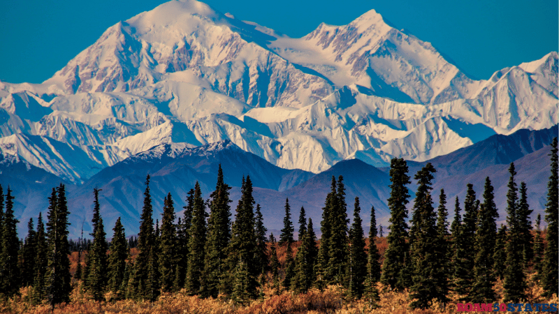 Things to Do in Denali National Park: Best Activities and Adventures